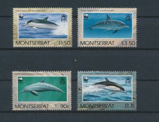 Lk84656 Montserrat Dolphin Fish Sealife Fine Lot Mnh