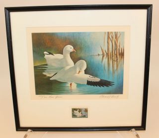 1970 Edward Bierly Federal Duck Stamp Print " Ross 