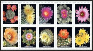 Usa Sc.  5359a (55c) Cactus Flowers 2019 Mnh Block Of 10 Partial Die Cuts
