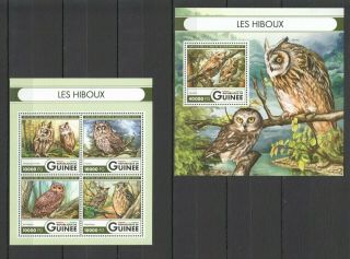 St001 2016 Guinea Fauna Birds Owls Les Hiboux 1kb,  1bl Mnh