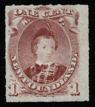 Canada Stamp Newfoundland Scott 37 1c Edward Vii As Prince Of Wales No Gum