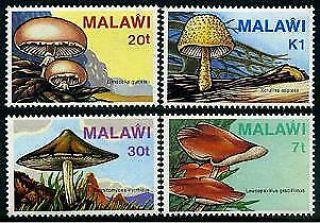 Herrickstamp Malawi Sc.  458 - 61 Nh Mushroom Stamps