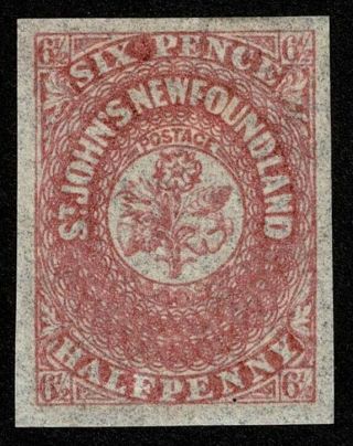 Canada Stamp Newfoundland Scott 21 6.  5p Rose 1861 H Og