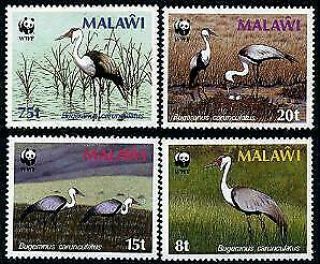 Herrickstamp Malawi Sc.  494 - 97 Nh W.  W.  F.  Crane Stamps