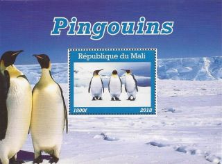 Mali - 2018 Penguins - Stamp Souvenir Sheet - 13h - 460