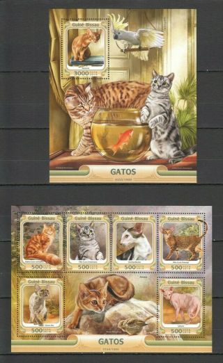 St876 2016 Guinea - Bissau Animals Fauna Pets Cats 1kb,  1bl Mnh Stamps