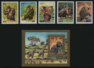 Benin 755 - 60 Mnh - Animals,  Monkeys,  Primates