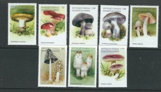 Comoro Islands 1999 Mushrooms Fungi Champignons Complete Set Vf Mnh