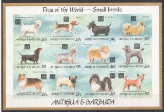 Bz049 Imperforate Antigua & Barbuda Dogs Of The World Small Breeds 1sh Mnh