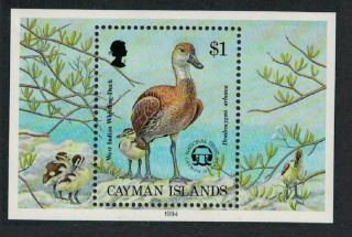 Cayman Is.  Black - Billed Whistling Duck 