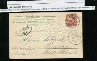 (se208) Malaya Penang Hungary 1904 Postcard Brod Cancellation Pig