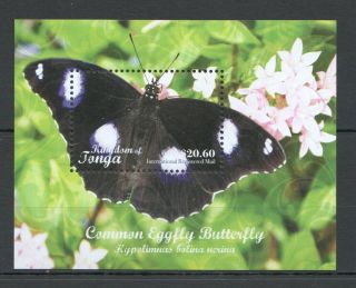 H1346 2018 Tonga Flora & Fauna Butterflies Common Eggfly Butterfly 1bl Mnh