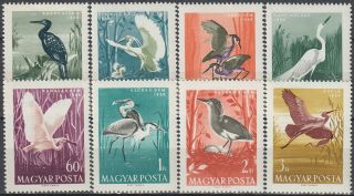 Hungary Birds Waders 1959 Mnh - 7,  50 Euro