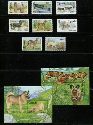 Uganda 1993 1127 - 36 Dogs Set & Sheets Mnh F945