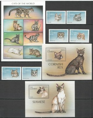 R812 Gambia Fauna Cats Of The World 2914 - 27 Michel 34,  5 Euro 1set,  1kb,  2bl Mnh
