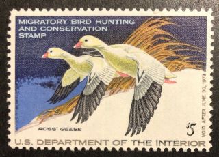 Tdstamps: Us Federal Duck Stamps Scott Rw44 $5 Nh Og Tiny Gum Bend