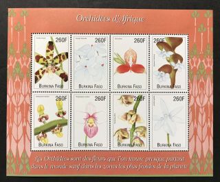 Burkina Faso Orchids Of Africa Stamps Sheet 8v 2000 Mnh Flowers Flora Plant