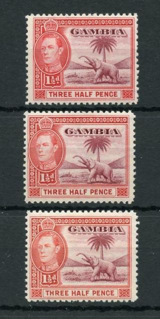Gambia 1938 - 46 1 ½d Brown - Lake And Bright Carmine Sg152 Mvlh Cat £275