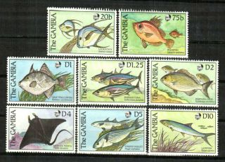 Gambia Stamp - Fish Stamp - Nh