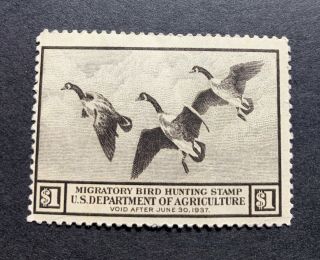 Wtdstamps - Rw3 1936 - Us Federal Duck Stamp - Og Nh Full Gum