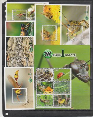 Malawi 2018 Insects Bees Klb,  6s/s Mnh