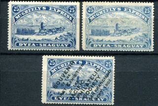 (916) 3 Very Good 1898 U.  S.  Local " Mcgreelys Express " Blue M.  Mh.  S 155l1
