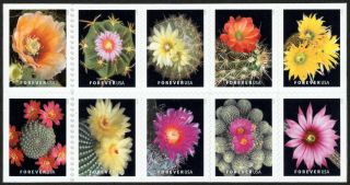 Usa Sc.  5359a (55c) Cactus Flowers 2019 Mnh Block Of 10