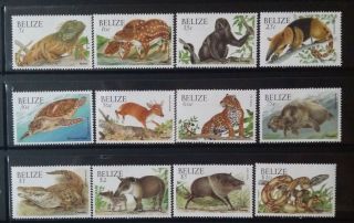 Belize 1119 - 1130 Fauna Complete Set 2000 Mnh