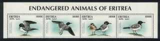 Eritrea White - Eyed Gull Bird Wwf - Related Issue Top Strip Of 4 Mnh Sg 327 - 330