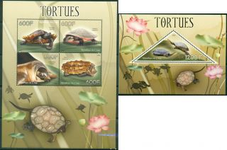 Congo - Turtles - Mnh Set Of 4val Sheet And Souvenir Sheet