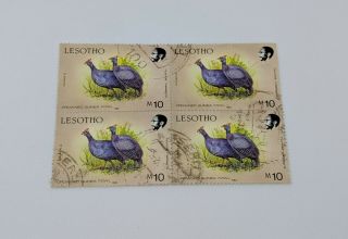 Stamp Pickers Lesotho 1988 Crowned Guinea Fowl 10m 4 - Block Scott 632 X 4 $36,  2