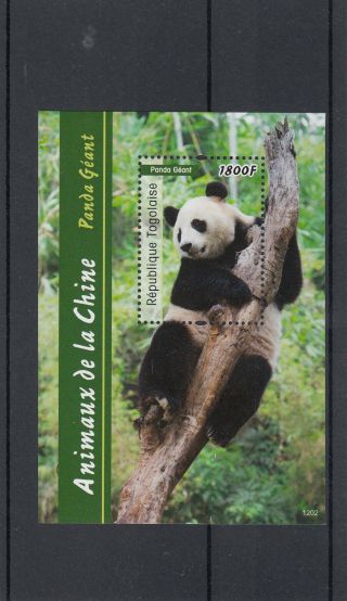 Togo 2012 Mnh Animals Of China 1v Sheet Giant Panda Pandas Republique Togolaise