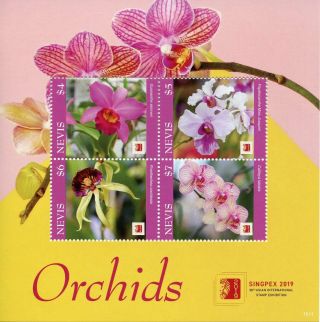 Nevis 2019 Mnh Orchids Orchid Singpex 4v M/s Flowers Flora Nature Stamps