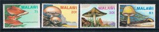 Malawi 1985 Fungi Sg 720 - 3 Mnh