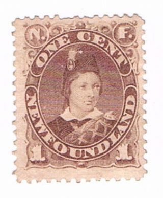 Newfoundland Stamp Scott 42 1 - Cents