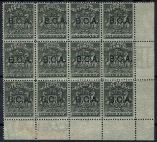 British Central Africa 1891 Arms 1d Block /