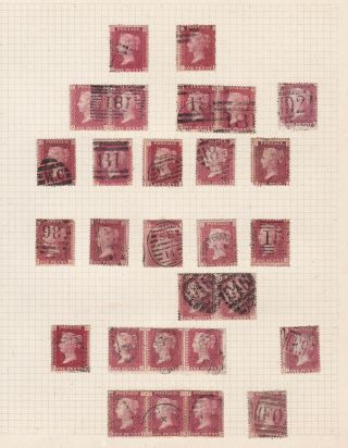 Gb.  Qv.  Sg 43,  1d Rose Red Selection Hinged On Page.