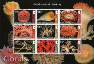 British Antarctic Territory Bat 2017 Mnh Corals Coral 9v M/s Marine Stamps