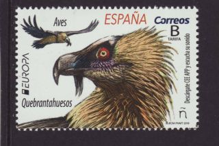 Spain 2019 Mnh - Europa - National Birds - Set Of 1 Stamp