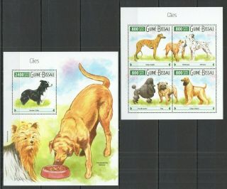 St912 2015 Guinea - Bissau Pets Fauna Dogs Caes Kb,  Bl Mnh Stamps