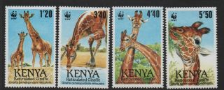 $kenya Sc 491 - 494,  M/nh/vf Complete Set,  Giraffes,  Cv.  $21