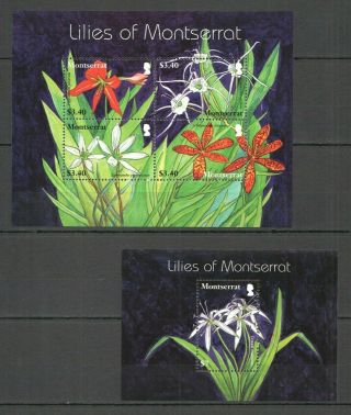 X1250 Montserrat Flora Nature Flowers Liles Of Montserrat Bl,  Kb Mnh