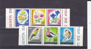 1973 Romania Stamps Birds Flowers Strips Mnh Nature