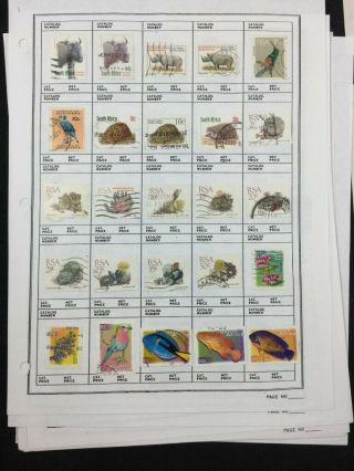 TREASURE COAST TCStamps 28,  Pages of OLD South Africa Stamps 94 5