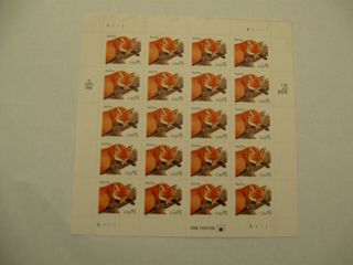 U.  S.  A Stamp Sheet Of Red Fox 1998