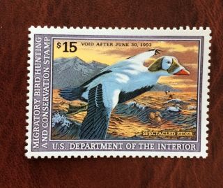 Vintage Us Duck Hunting Stamp,  Rw59