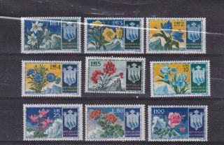 San Marino 1953 Sc 336/44,  Set Mnh,  Flower H2121