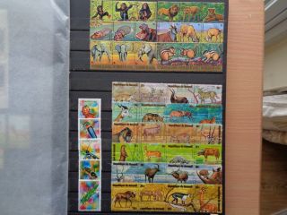 Burundi And Guinea Cancelled Stamps Animal Kingdom Of Africa Gold Font 8