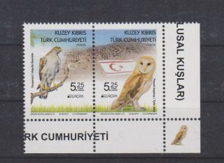 Cyprus Turkish 2019 Europe Cept Birds Set Mnh 275