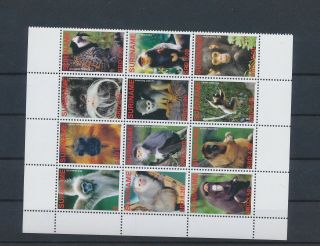 Gx02913 Suriname 2006 Monkey Animals Wildlife Fine Lot Mnh